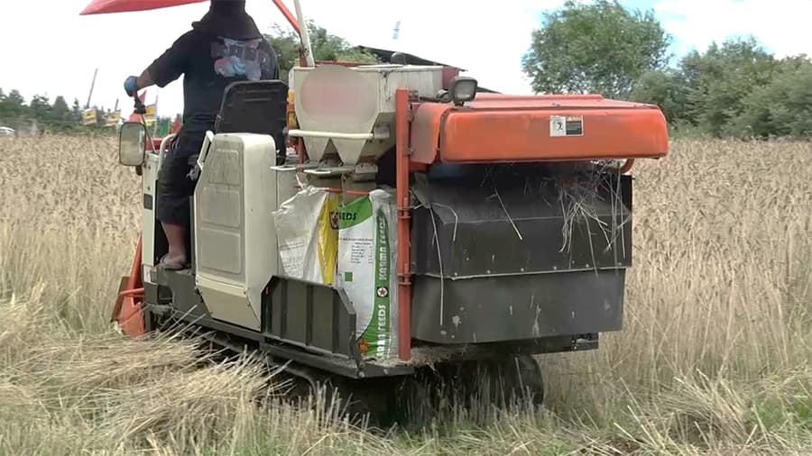 Harvester failures delay wheat harvest in Bumthang