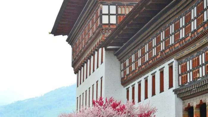 Austrian Coordination Office for Development Cooperation (ACO)