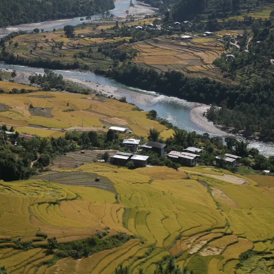 Dreamcaster Tours & Travel photo 4