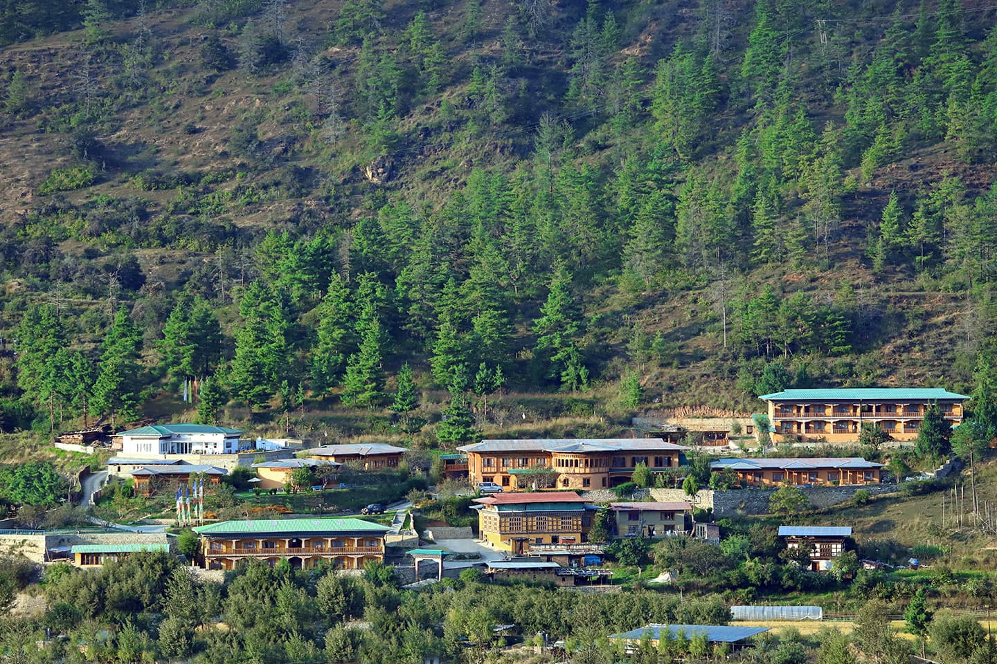 Rema Resort photo 2