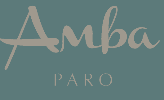 Amba Paro photo 2