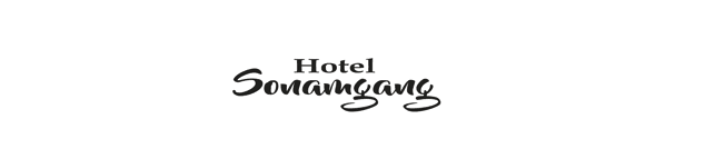 Hotel Sonamgang photo 2