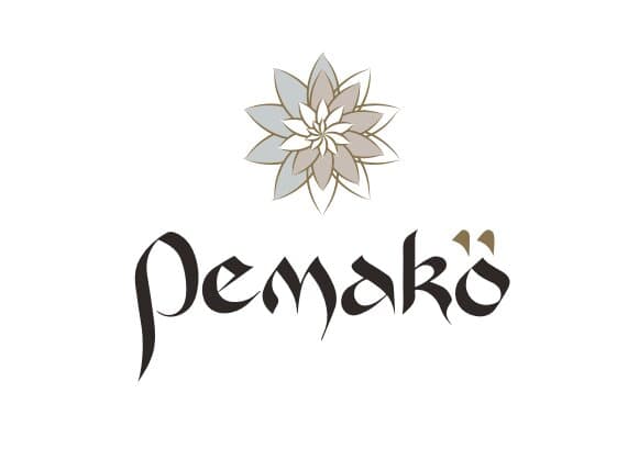 Pemako Hotel - Thimphu photo 2