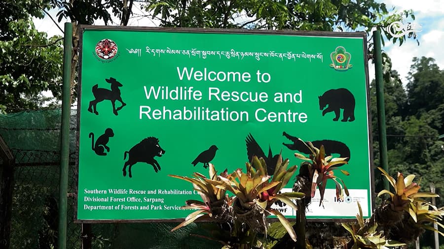 Jigmeling wildlife rescue and rehabilitation centre opens its doors to visitors