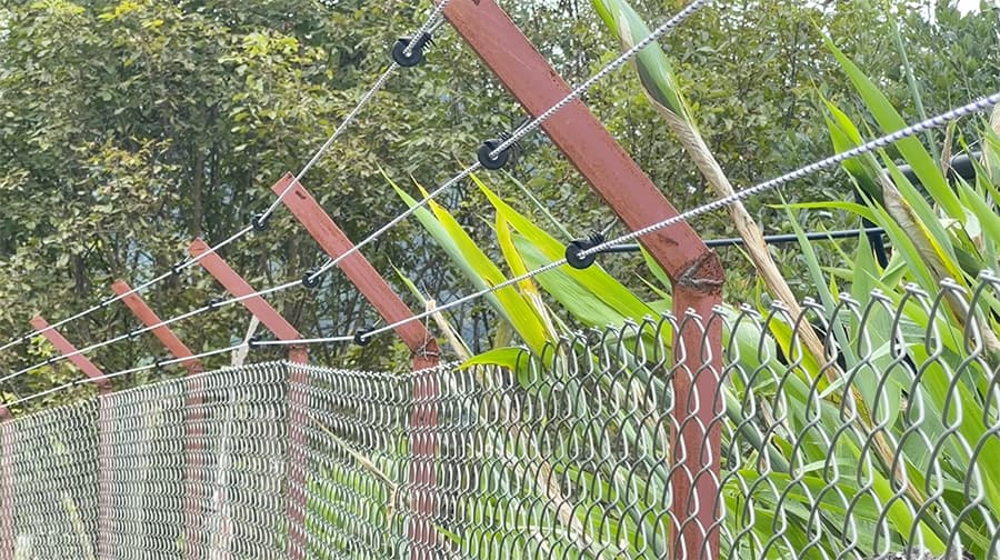 Farmers redesign fence, double their harvest in Wangmakhar