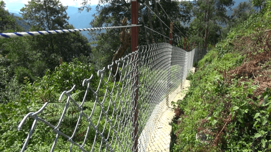 New fence protects Shongphu farmland, but neighbouring farmers fear rising wildlife damage