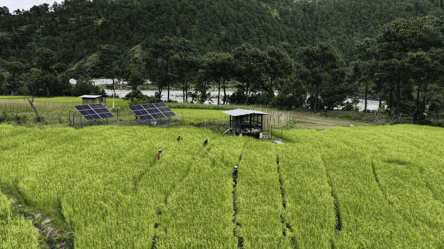 Empowering women through solar-powered irrigation